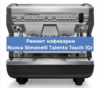 Чистка кофемашины Nuova Simonelli Talento Touch 1Gr от кофейных масел в Санкт-Петербурге